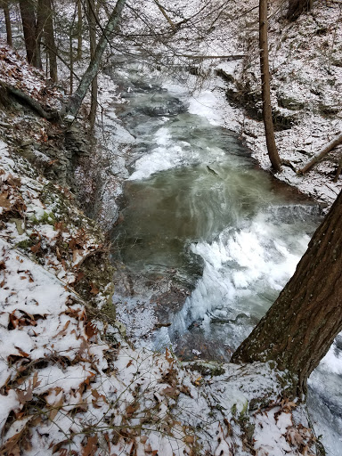 Nature Preserve «Sweedler and Thayer Preserves», reviews and photos, 10 Townline Rd, Ithaca, NY 14850, USA