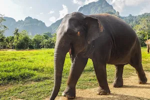 Sabai Jai - Elephant Sanctuary Park & Spa image