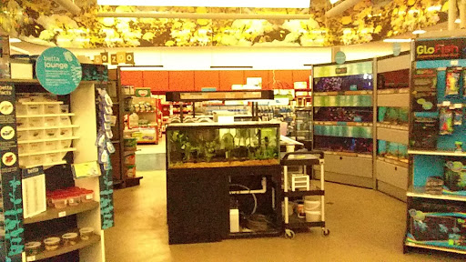 Pet Supply Store «Petco Animal Supplies», reviews and photos, 6425 Keizer Station Blvd, Keizer, OR 97303, USA