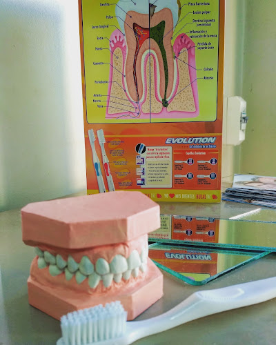 Comentarios y opiniones de VD Odontología Integral Dra.Dematteis (Odontólogo)