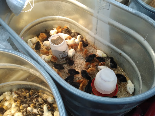 Department Store «Rural King», reviews and photos, 2947 S Washington St, Kokomo, IN 46902, USA