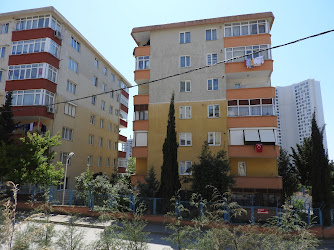 Modül Sitesi