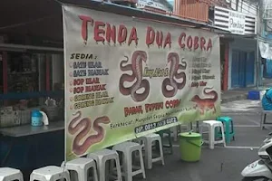 Sate Ular Tenda Dua Cobra image