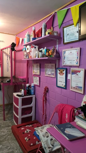 Peludos Mascotas - Peluquería