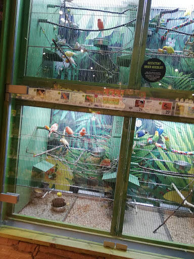 Parrot shops in Nuremberg