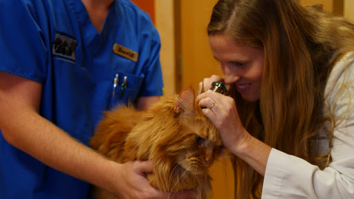 Nippers Corner Pet Medical Center