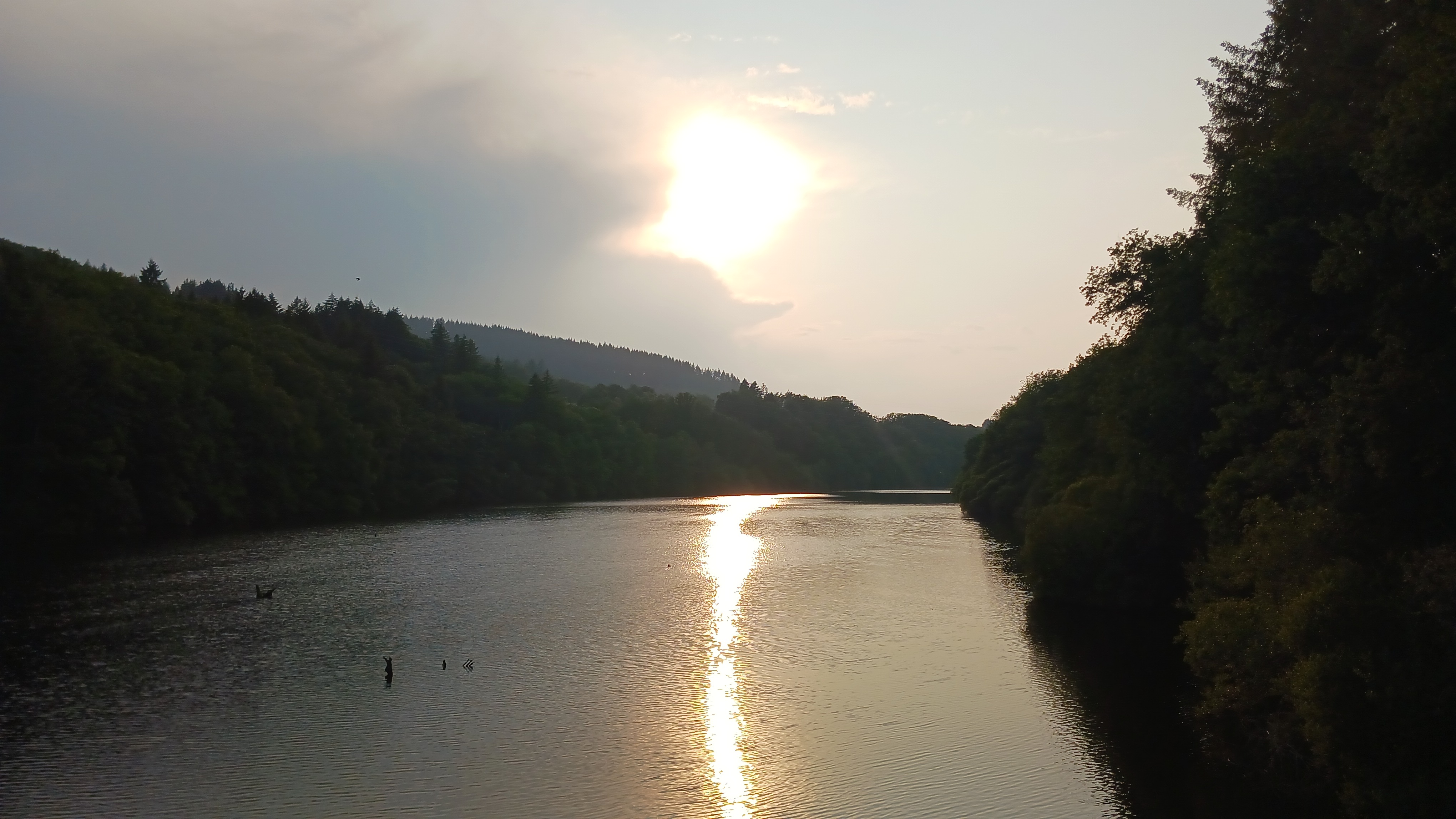 Photo n° 3 de l'avis de Shaun.a fait le 15/06/2023 à 18:43
