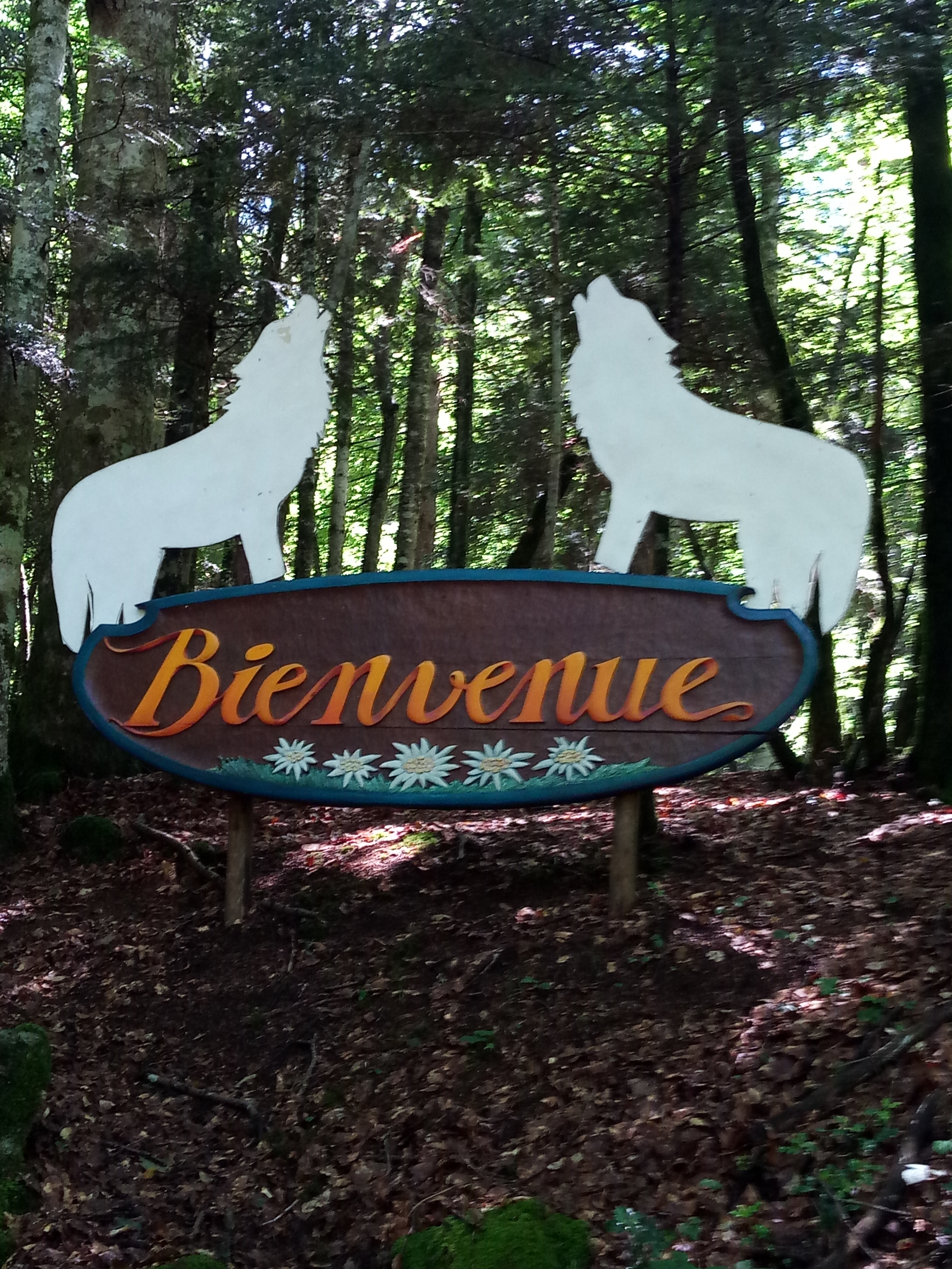 Photo n° 1 de l'avis de pascal.e fait le 30/07/2023 à 16:42