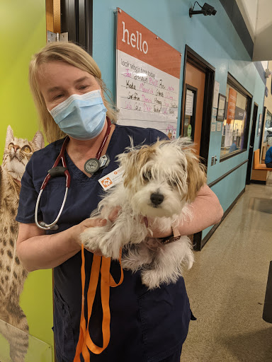 Banfield Pet Hospital image