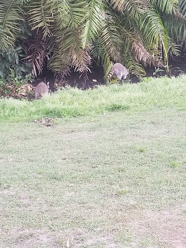 Golf Club «Manatee County Golf Course», reviews and photos, 6415 53rd Ave W, Bradenton, FL 34210, USA