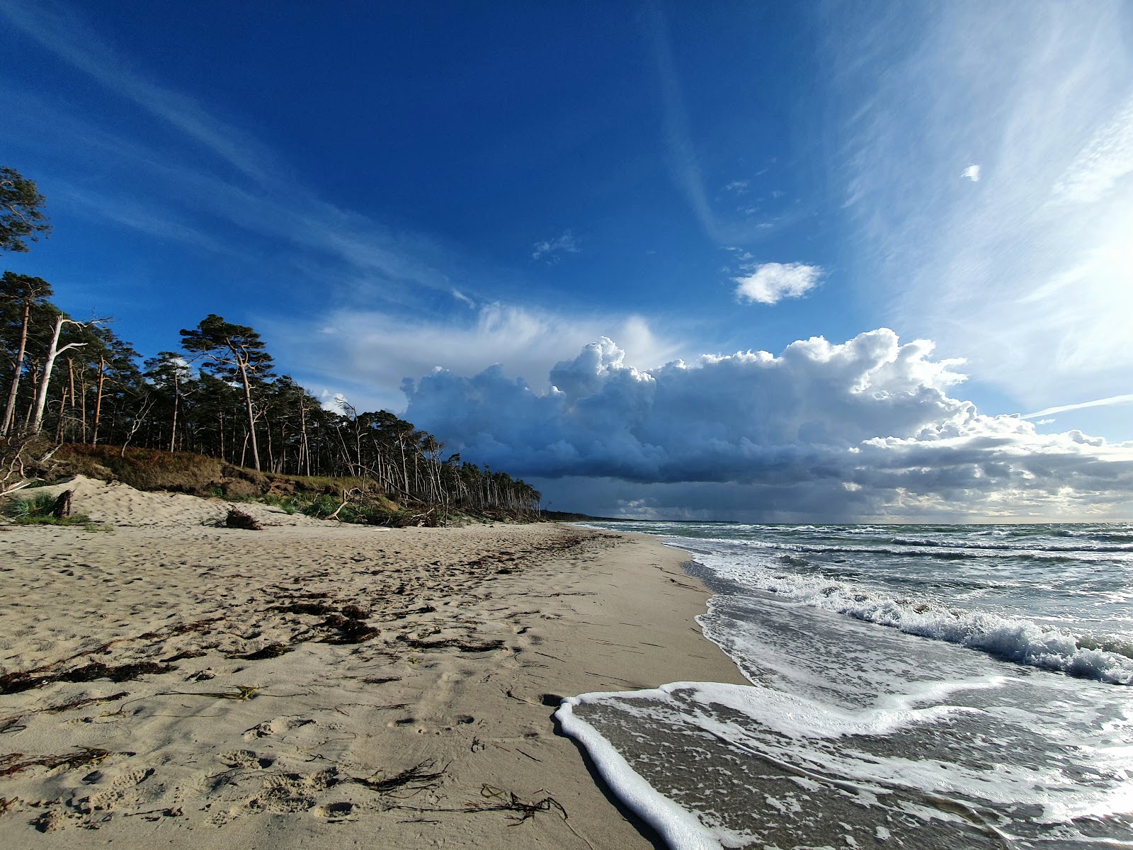 Photo de Mullerweg Strand zone sauvage