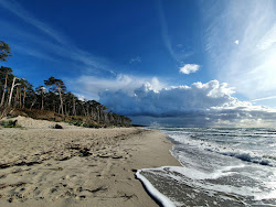 Photo de Mullerweg Strand zone sauvage