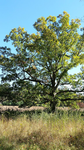 Nature Preserve «Schiff Natural Lands Trust/Schiff Nature Preserve», reviews and photos, 339 Pleasant Valley Rd, Mendham, NJ 07945, USA