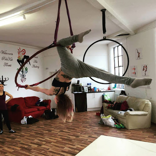 Reviews of PoleKat Fitness Aerial Arts Academy in Nottingham - Dance school