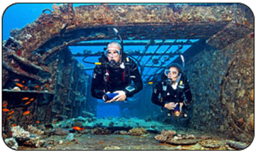 Dive Shop «Sea Sports Scuba - The Woodlands», reviews and photos, 25701 Interstate 45 N, Spring, TX 77380, USA