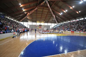 Vranje Sports Hall image