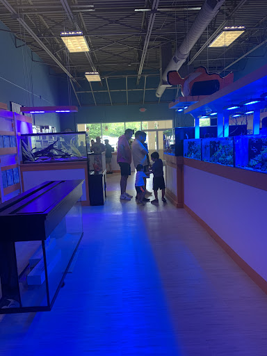 Tropical Fish Store «Nemo Aquarium», reviews and photos, 1560 Indian Trail Rd #106, Norcross, GA 30093, USA