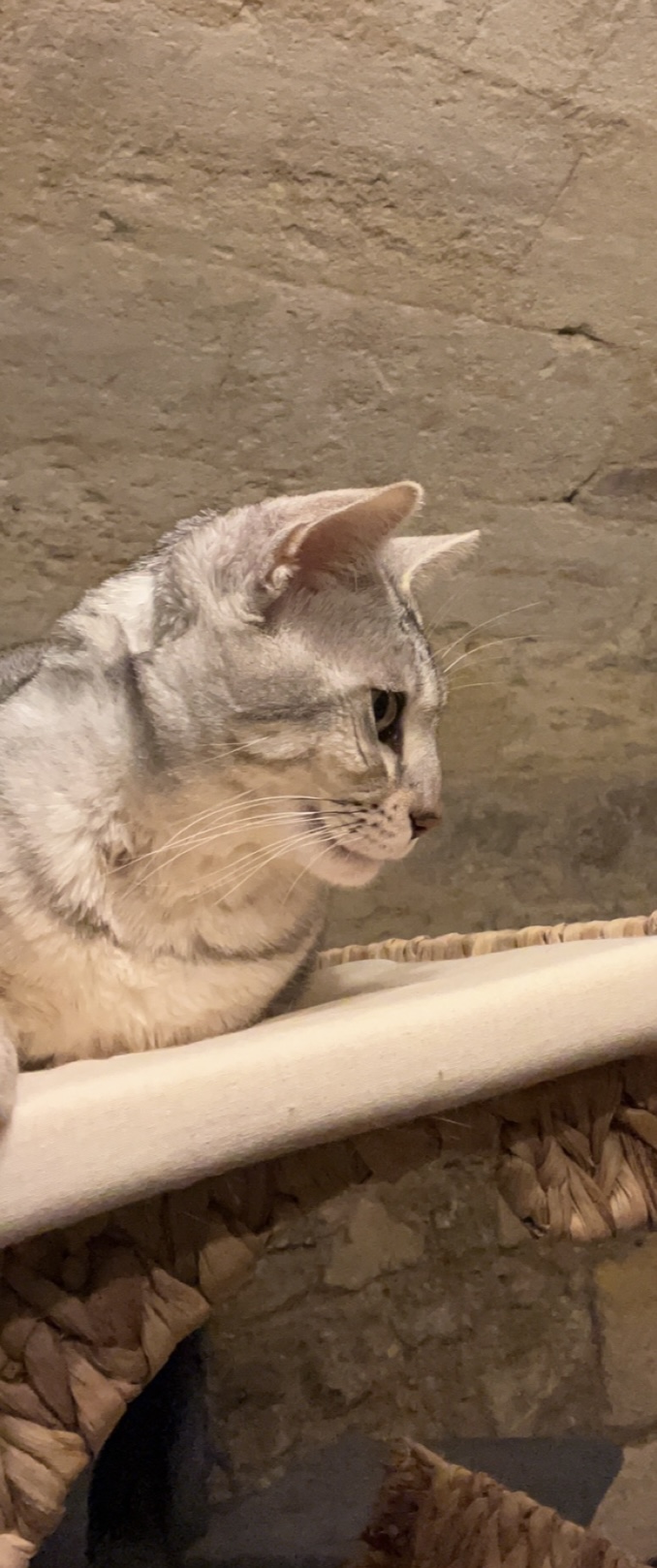 Photo n° 1 de l'avis de Naïs.e fait le 23/02/2024 à 18:30