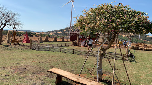 Mian farm Bình Thuận