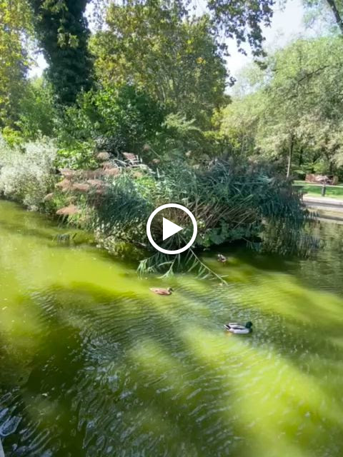 Photo n° 23 de l'avis de Himherandmore. fait le 10/09/2023 à 12:08