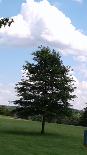 Golf Course «Blackwood Golf Course», reviews and photos, 510 Red Corner Rd, Douglassville, PA 19518, USA