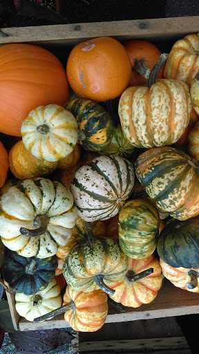 Produce Market «Highland Orchards Farm Market», reviews and photos, 1431 Foulk Rd, Wilmington, DE 19803, USA