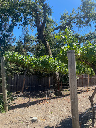 Winery «Mayo Family Winery», reviews and photos, 13101 Arnold Dr, Glen Ellen, CA 95442, USA