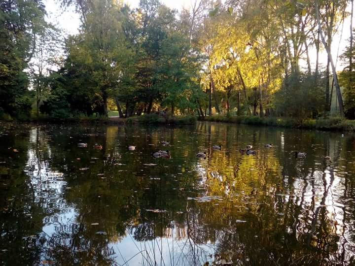 Photo n° 5 de l'avis de la.� fait le 23/11/2017 à 17:09