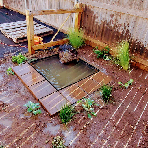 Akron Tree Service And Lawn Service 1