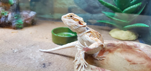 Pet Supply Store «Petco Animal Supplies», reviews and photos, 450 N Rte 17, Paramus, NJ 07652, USA