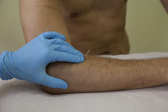 Imagen de Osteo9  Fisioterpia i Osteopatia integral avanada (8 de 14)