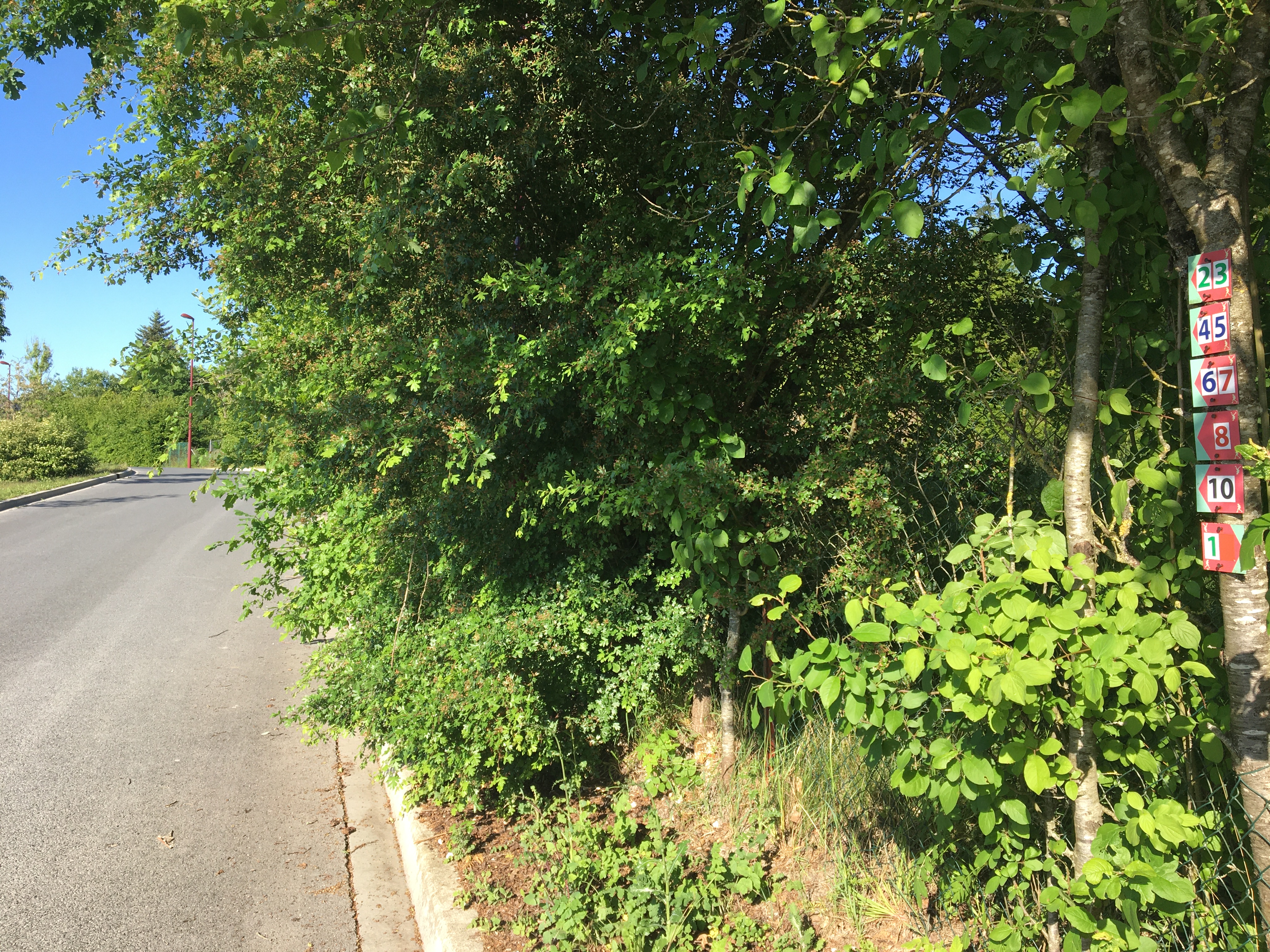 Photo n° 1 de l'avis de David.O fait le 17/05/2020 à 13:11