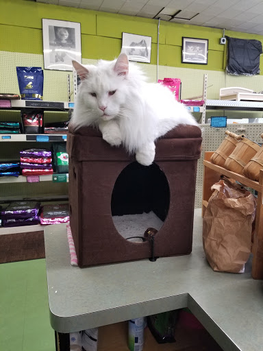 Pet Supply Store «Animal Krackers Inc», reviews and photos, 232 Main St, Gloucester, MA 01930, USA