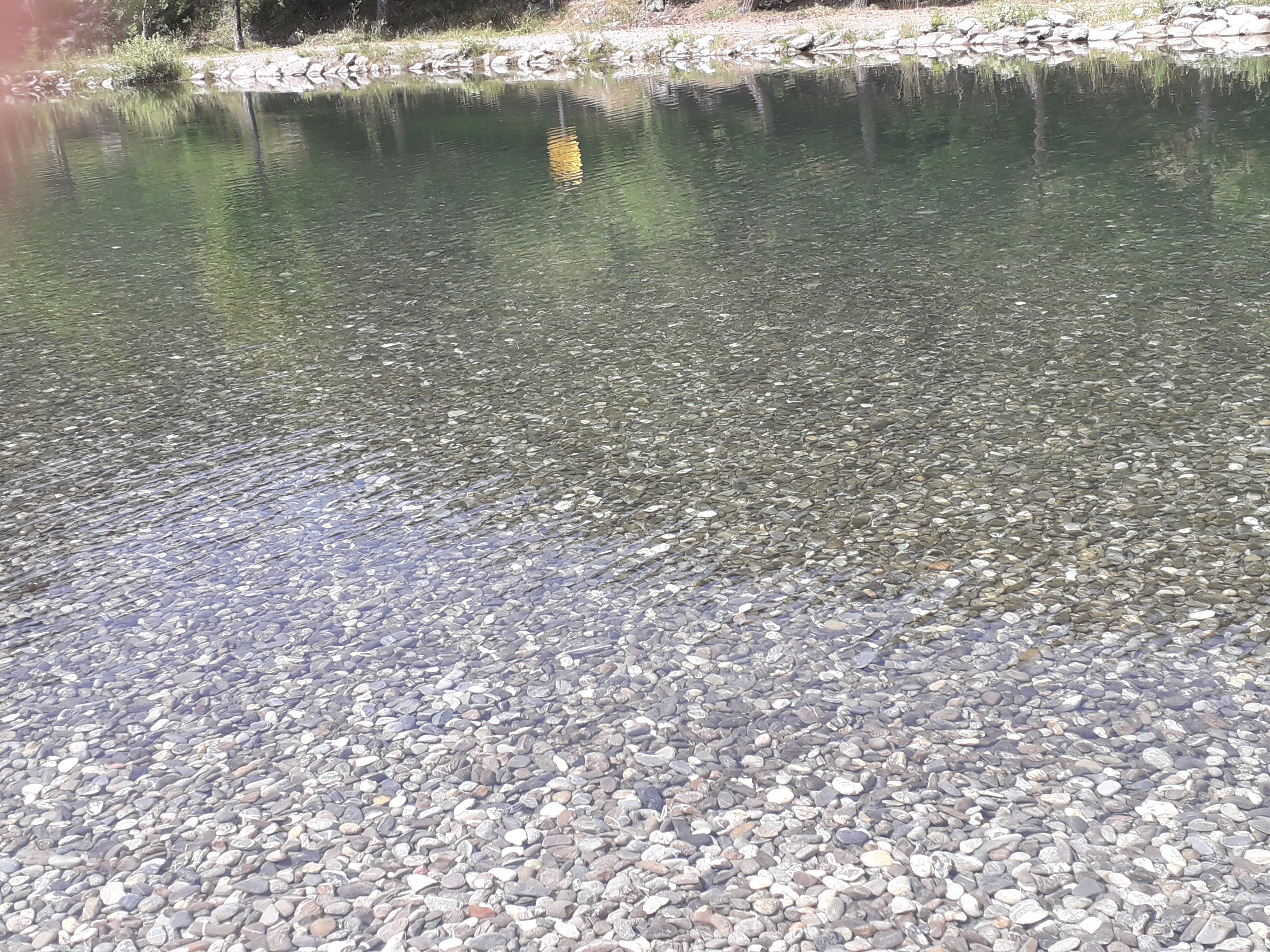 Photo n° 2 de l'avis de Wagner.e fait le 17/07/2023 à 18:25