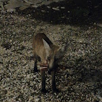 Photo n°1 de l'avis de Ferdinando.v fait le 27/08/2018 à 23:17 sur le  Vecchio Baglio Cofano à Custonaci