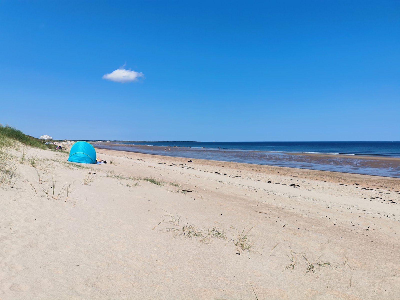 Foto van Druridge Bay beach met helder zand oppervlakte
