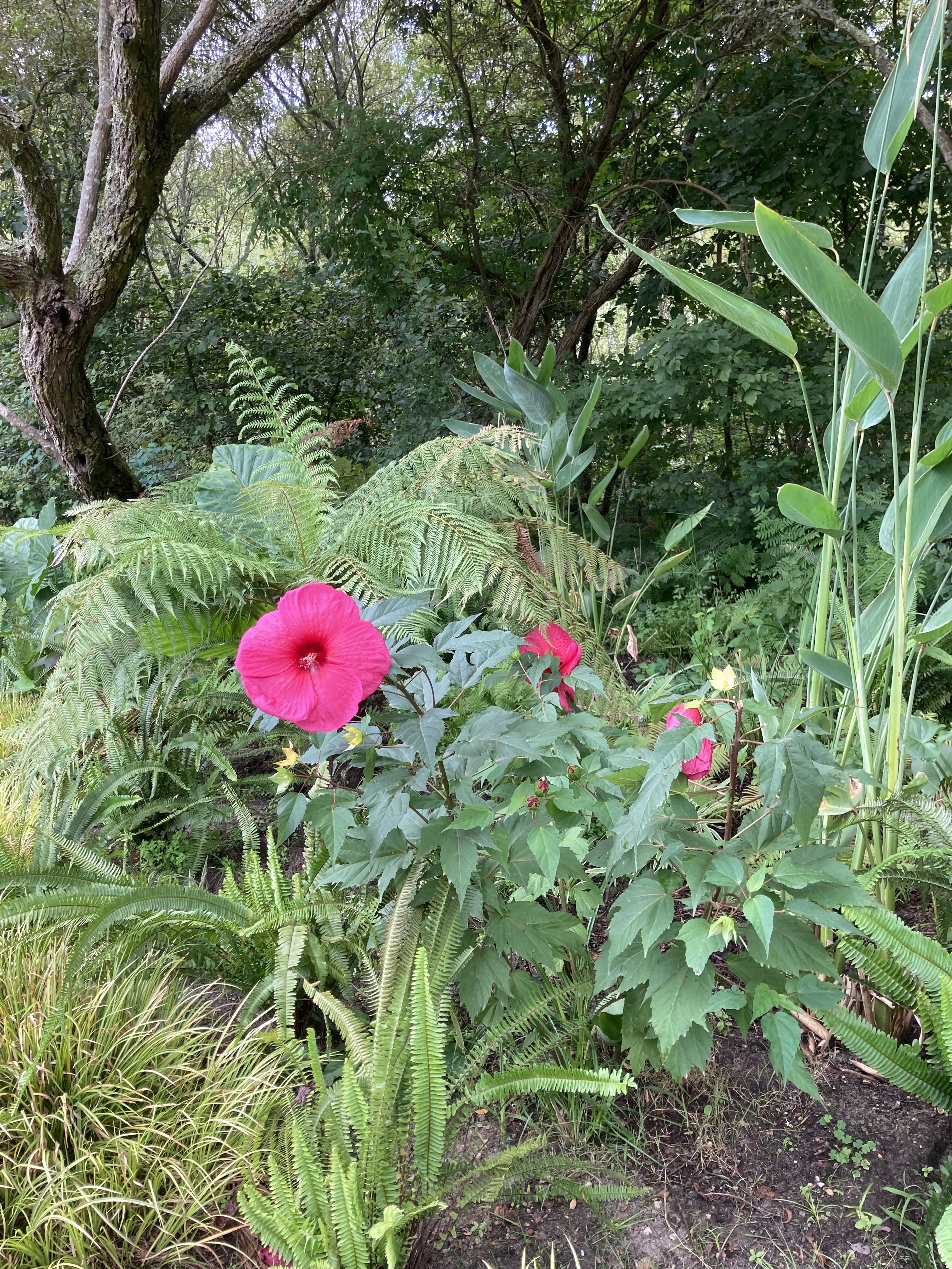 Photo n° 17 de l'avis de Jerome.a fait le 14/08/2022 à 18:58