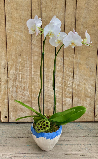 Florist «Florist Of Covington», reviews and photos, 2640 N Hwy 190, Covington, LA 70433, USA