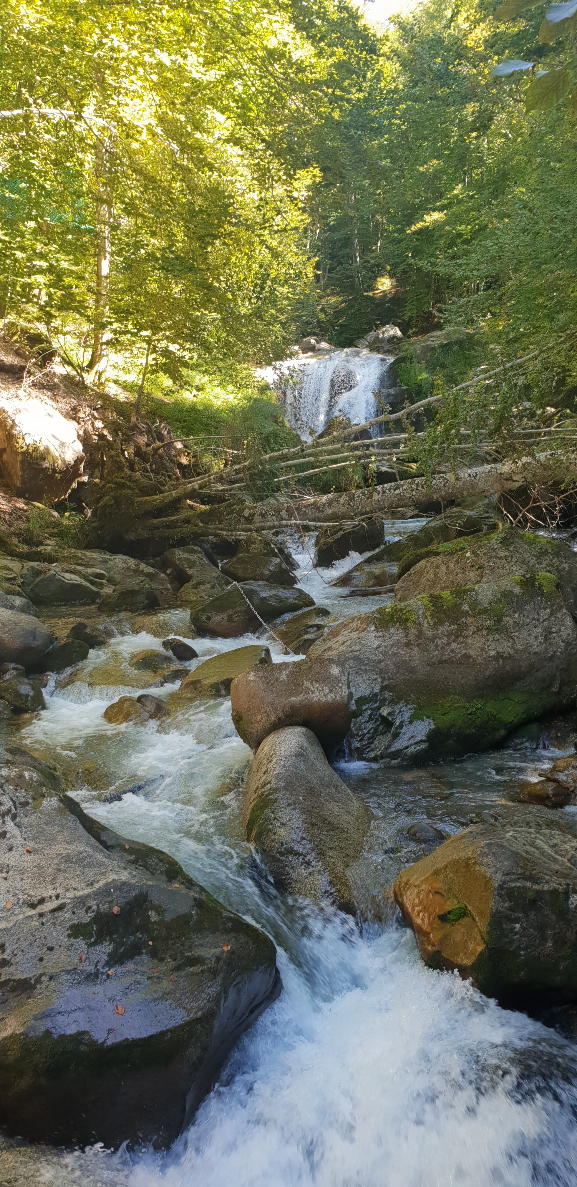 Photo n° 4 de l'avis de Christophe.e fait le 26/09/2018 à 10:29