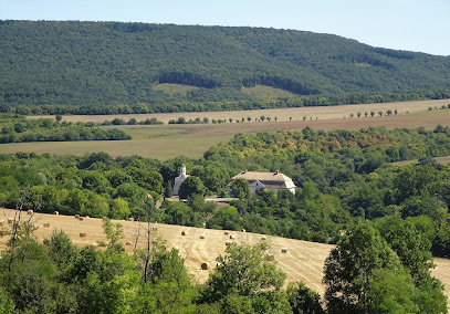 Bikol Reviczky-kúriát