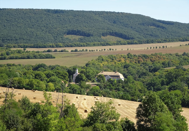 Bikol Reviczky-kúriát