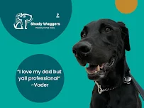 Shady Waggers - Car repair in , Houston - Rated 4.8/5