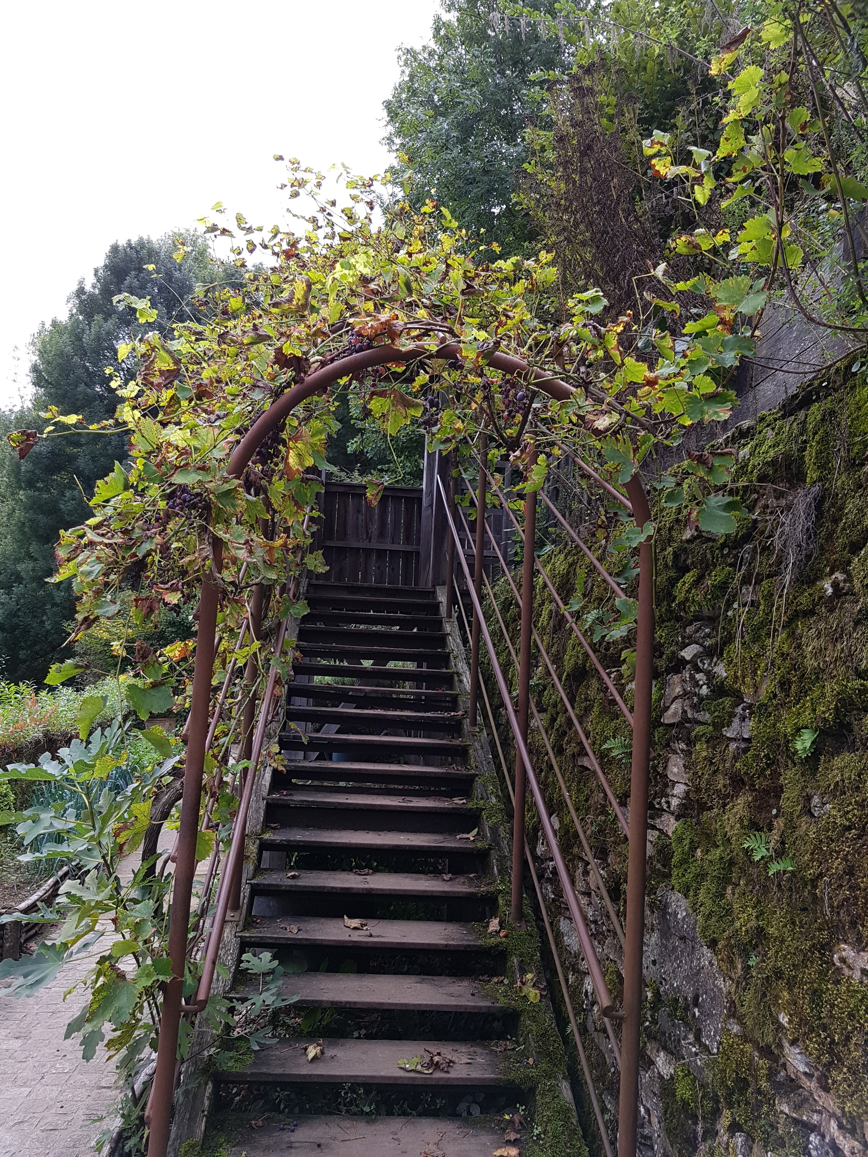 Photo n° 33 de l'avis de Brigitte.U fait le 10/10/2019 à 18:23