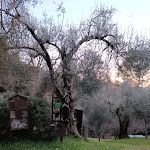 Photo n°12 de l'avis de Vito.i fait le 16/02/2023 à 16:30 sur le  Ristorante @ Il cantico della natura à Monte Sperello