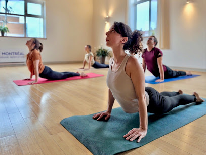 Surya Montréal | Yoga, Taijiquan, Méditation