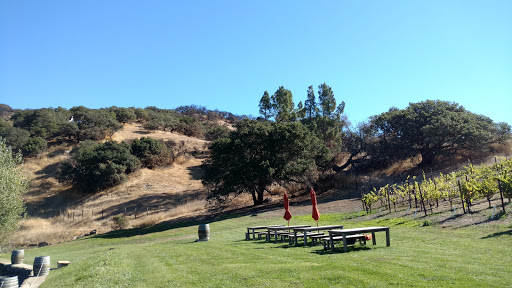 Winery «Nicholson Ranch LLC», reviews and photos, 4200 Napa Rd, Sonoma, CA 95476, USA