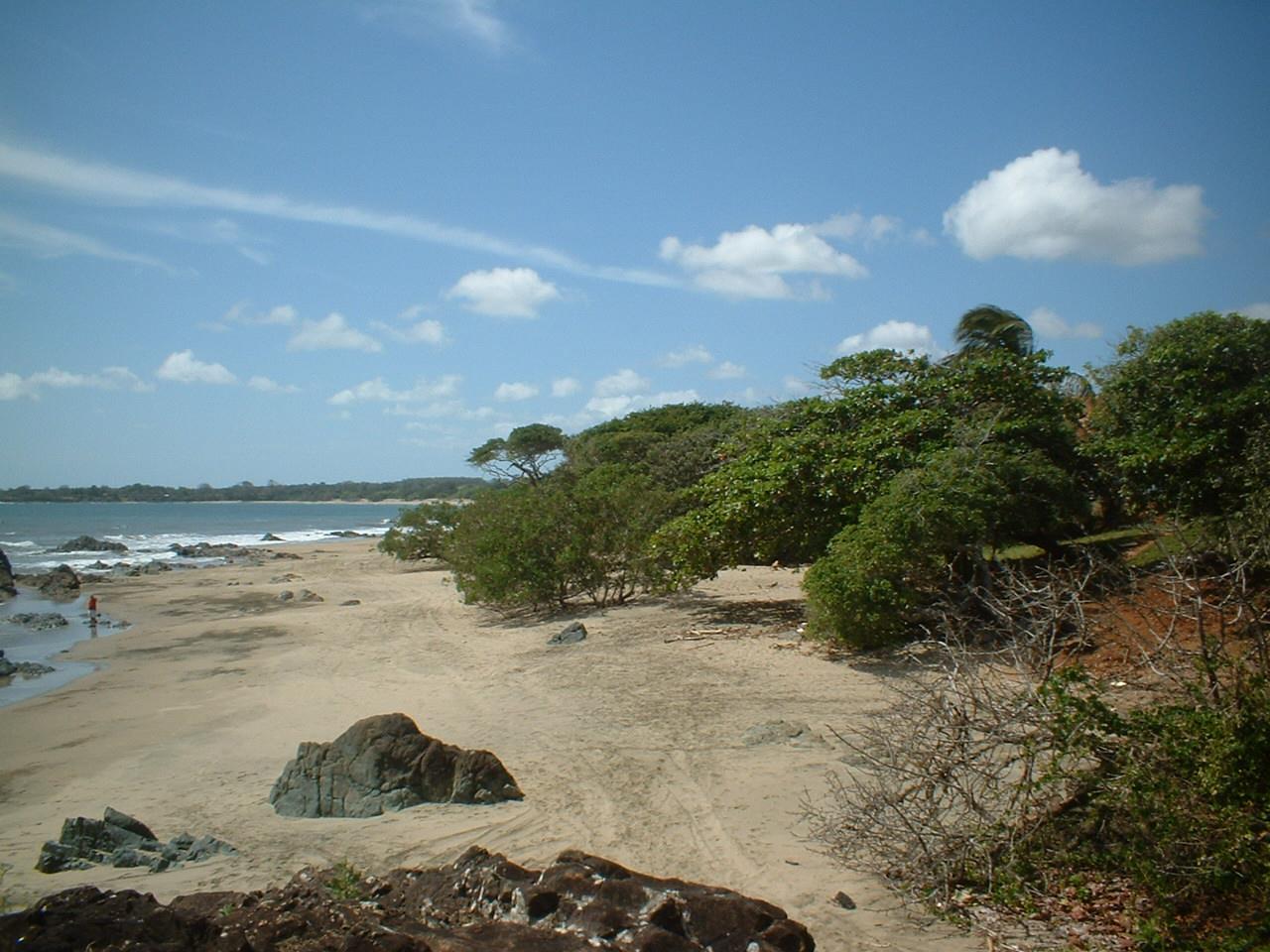 Fotografija Lagart Point Beach nahaja se v naravnem okolju