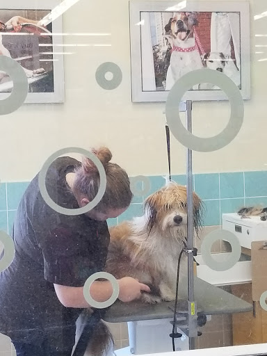 Pet Supply Store «Petco Animal Supplies», reviews and photos, 1680 Campbell Ln, Bowling Green, KY 42104, USA