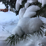 Photo n°8 de l'avis de Alessandro.e fait le 06/03/2019 à 21:13 sur le  Hôtel-Chalet de Tradition Notre Maison à Cogne