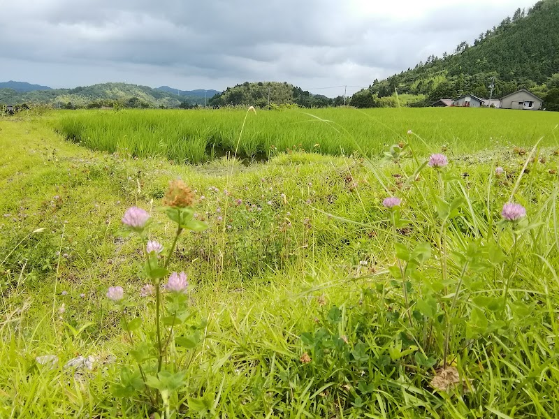 ENEOS 池の原 SS (アィティシィ)